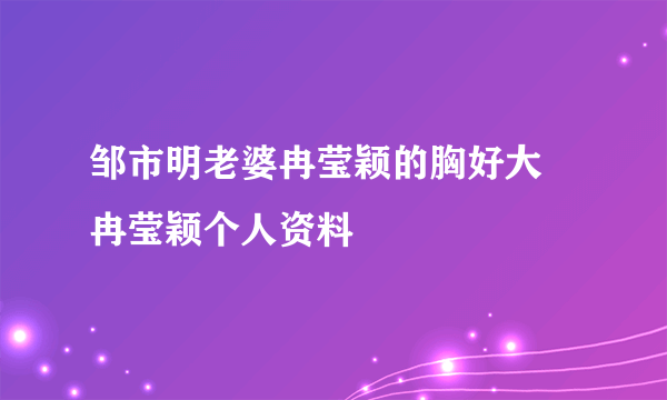 邹市明老婆冉莹颖的胸好大 冉莹颖个人资料