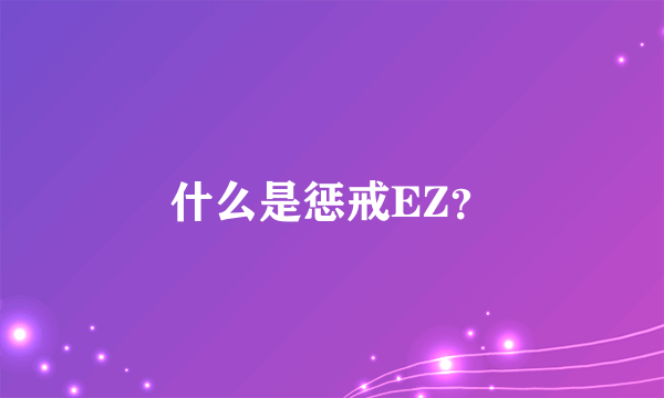 什么是惩戒EZ？