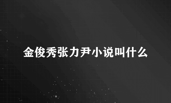 金俊秀张力尹小说叫什么