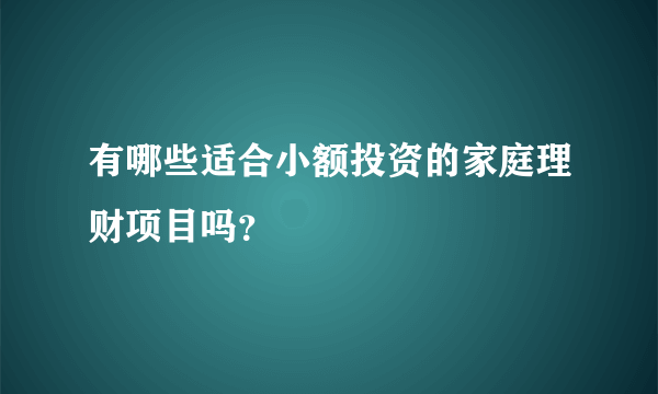 有哪些适合小额投资的家庭理财项目吗？