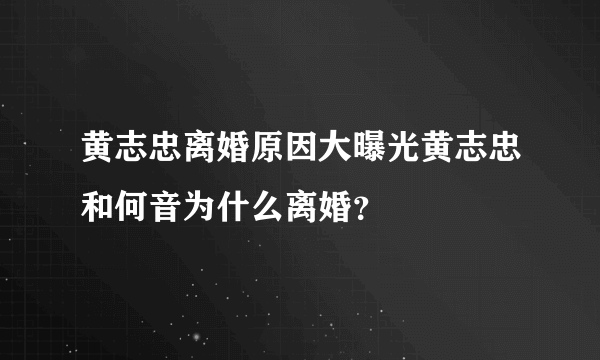 黄志忠离婚原因大曝光黄志忠和何音为什么离婚？