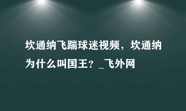 坎通纳飞踹球迷视频，坎通纳为什么叫国王？_飞外网