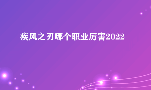 疾风之刃哪个职业厉害2022