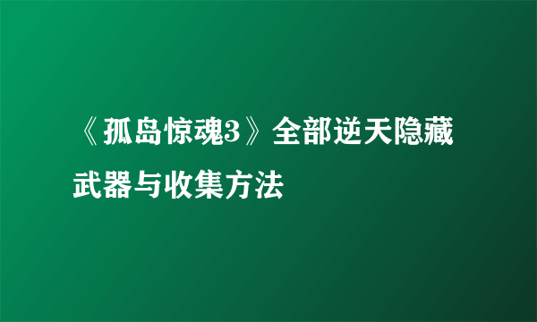 《孤岛惊魂3》全部逆天隐藏武器与收集方法