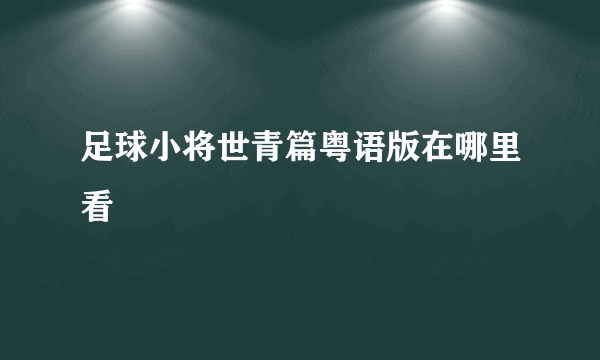 足球小将世青篇粤语版在哪里看