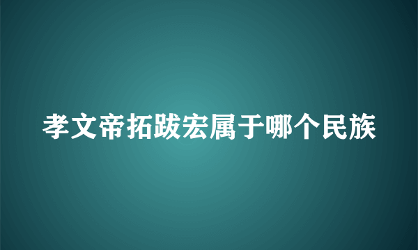 孝文帝拓跋宏属于哪个民族