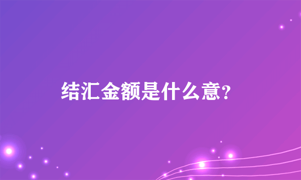 结汇金额是什么意？