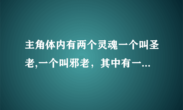 主角体内有两个灵魂一个叫圣老,一个叫邪老，其中有一个女主姓陆，