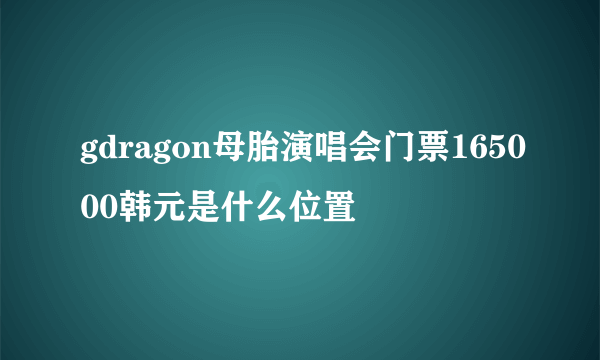 gdragon母胎演唱会门票165000韩元是什么位置