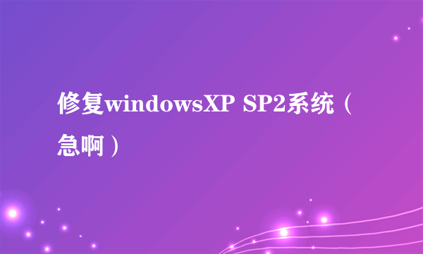 修复windowsXP SP2系统（急啊）