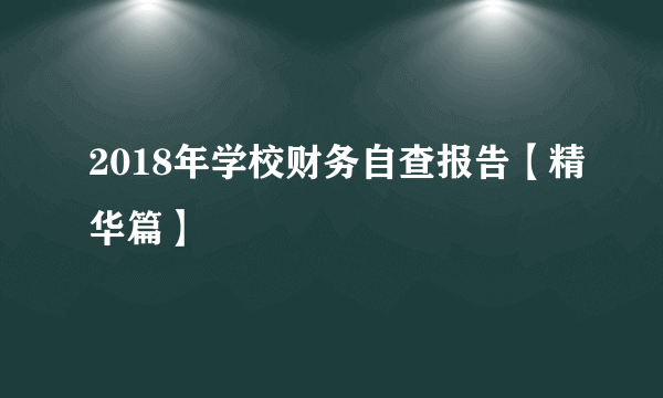 2018年学校财务自查报告【精华篇】