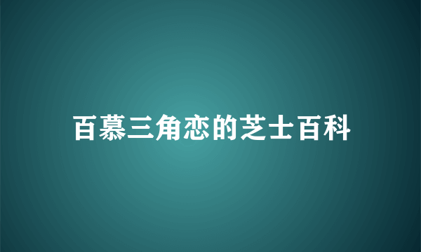 百慕三角恋的芝士百科