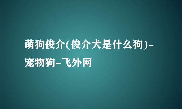 萌狗俊介(俊介犬是什么狗)-宠物狗-飞外网