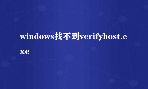 windows找不到verifyhost.exe