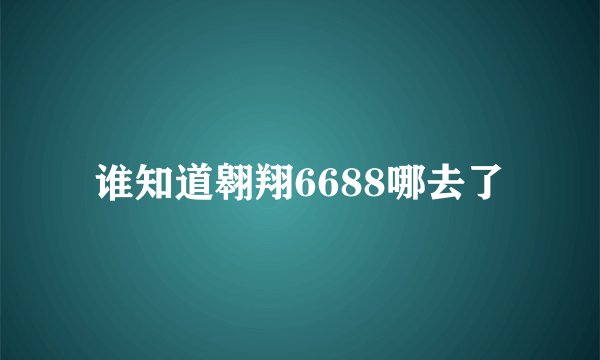 谁知道翱翔6688哪去了