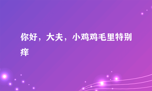 你好，大夫，小鸡鸡毛里特别痒