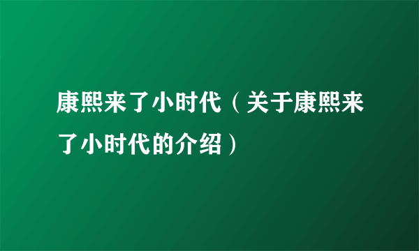 康熙来了小时代（关于康熙来了小时代的介绍）