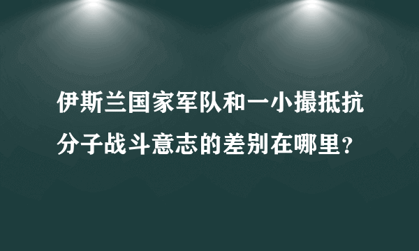 伊斯兰国家军队和一小撮抵抗分子战斗意志的差别在哪里？