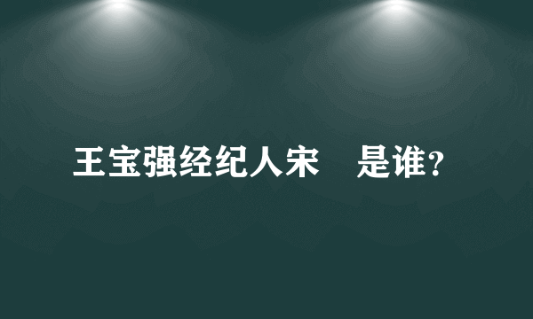 王宝强经纪人宋喆是谁？