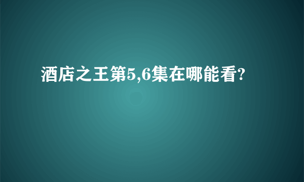 酒店之王第5,6集在哪能看?