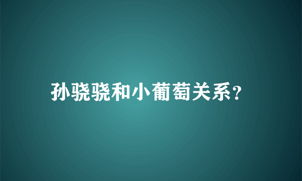 孙骁骁和小葡萄关系？