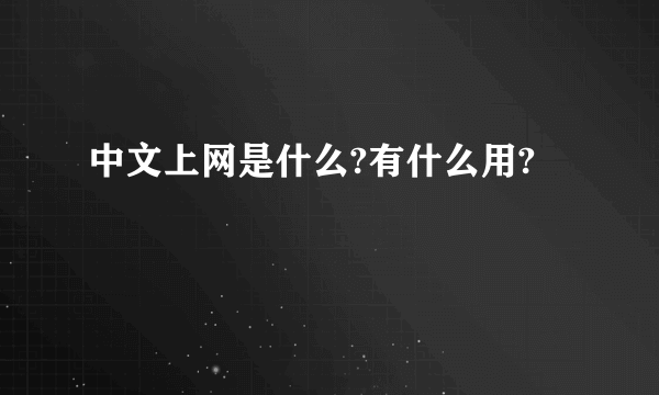 中文上网是什么?有什么用?