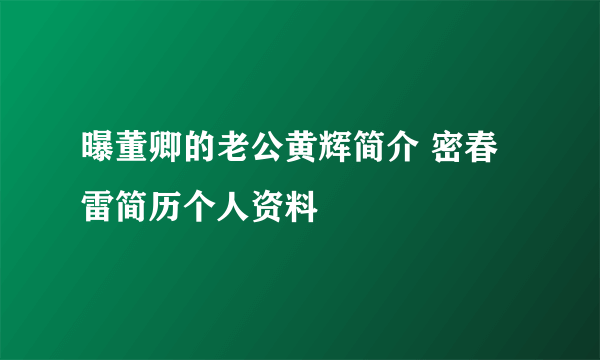 曝董卿的老公黄辉简介 密春雷简历个人资料