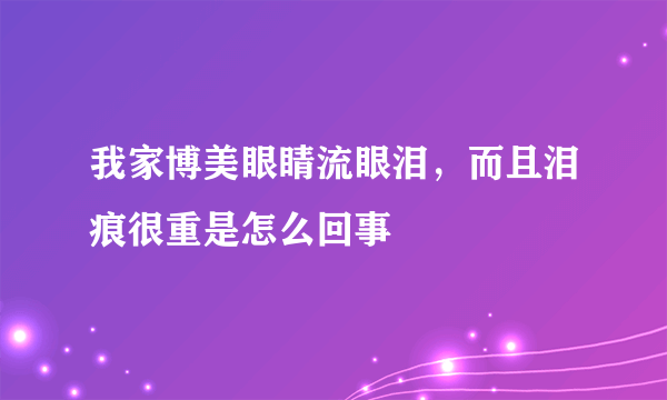 我家博美眼睛流眼泪，而且泪痕很重是怎么回事