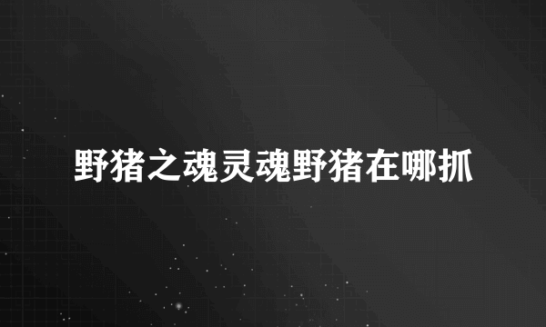 野猪之魂灵魂野猪在哪抓