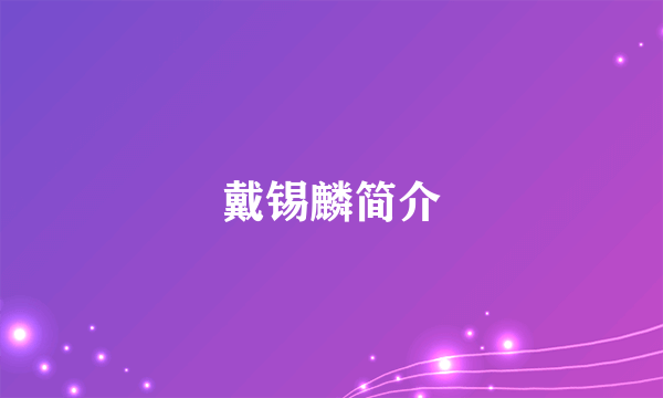 戴锡麟简介