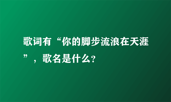 歌词有“你的脚步流浪在天涯”，歌名是什么？