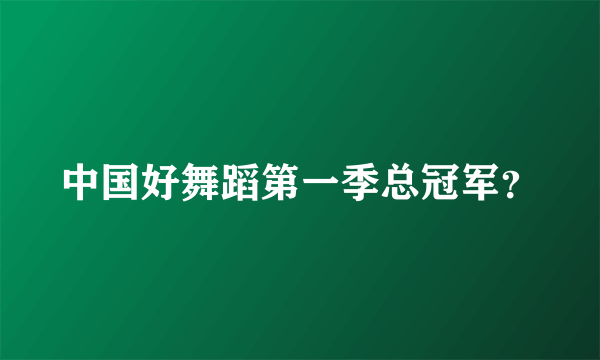 中国好舞蹈第一季总冠军？