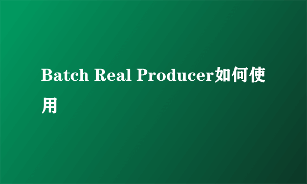 Batch Real Producer如何使用