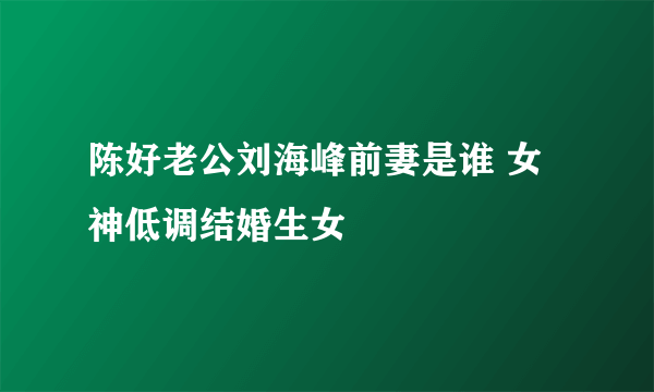 陈好老公刘海峰前妻是谁 女神低调结婚生女