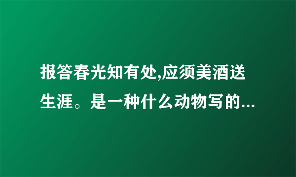 报答春光知有处,应须美酒送生涯。是一种什么动物写的是什么动物？