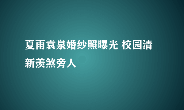 夏雨袁泉婚纱照曝光 校园清新羡煞旁人