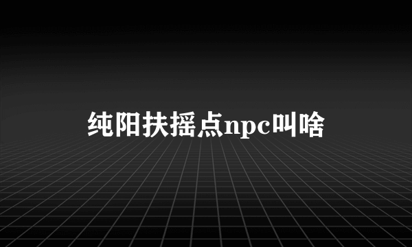 纯阳扶摇点npc叫啥