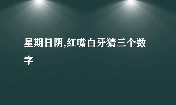 星期日阴,红嘴白牙猜三个数字