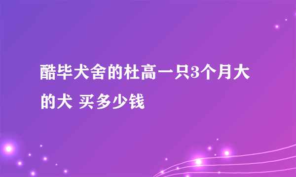 酷毕犬舍的杜高一只3个月大的犬 买多少钱