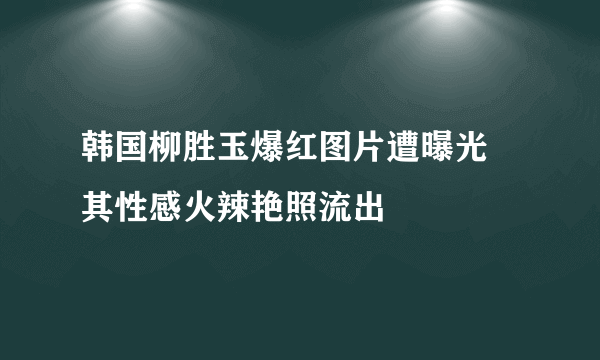 韩国柳胜玉爆红图片遭曝光  其性感火辣艳照流出