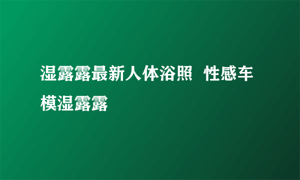 湿露露最新人体浴照  性感车模湿露露