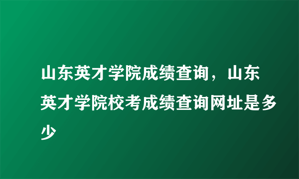 山东英才学院成绩查询，山东英才学院校考成绩查询网址是多少