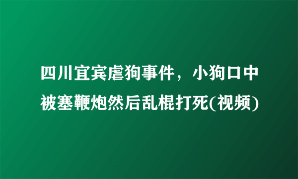 四川宜宾虐狗事件，小狗口中被塞鞭炮然后乱棍打死(视频)