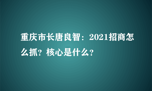 重庆市长唐良智：2021招商怎么抓？核心是什么？