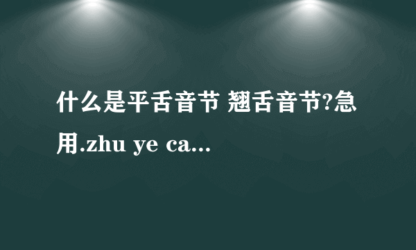 什么是平舌音节 翘舌音节?急用.zhu ye can jia zhi dao g...