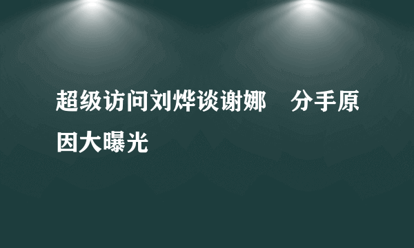 超级访问刘烨谈谢娜　分手原因大曝光