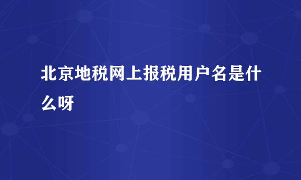 北京地税网上报税用户名是什么呀