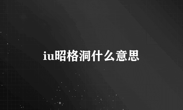 iu昭格洞什么意思