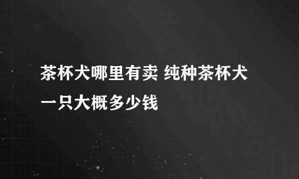 茶杯犬哪里有卖 纯种茶杯犬一只大概多少钱