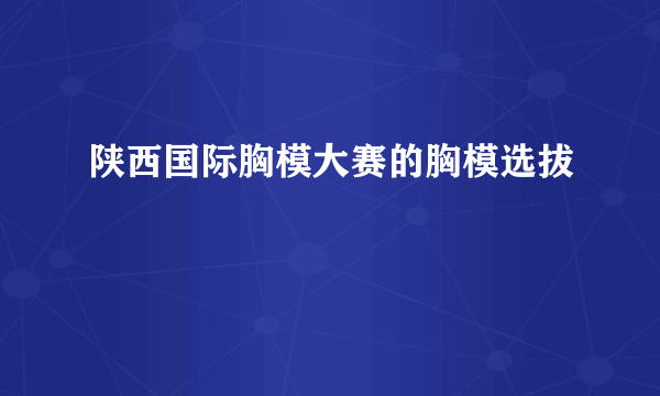 陕西国际胸模大赛的胸模选拔